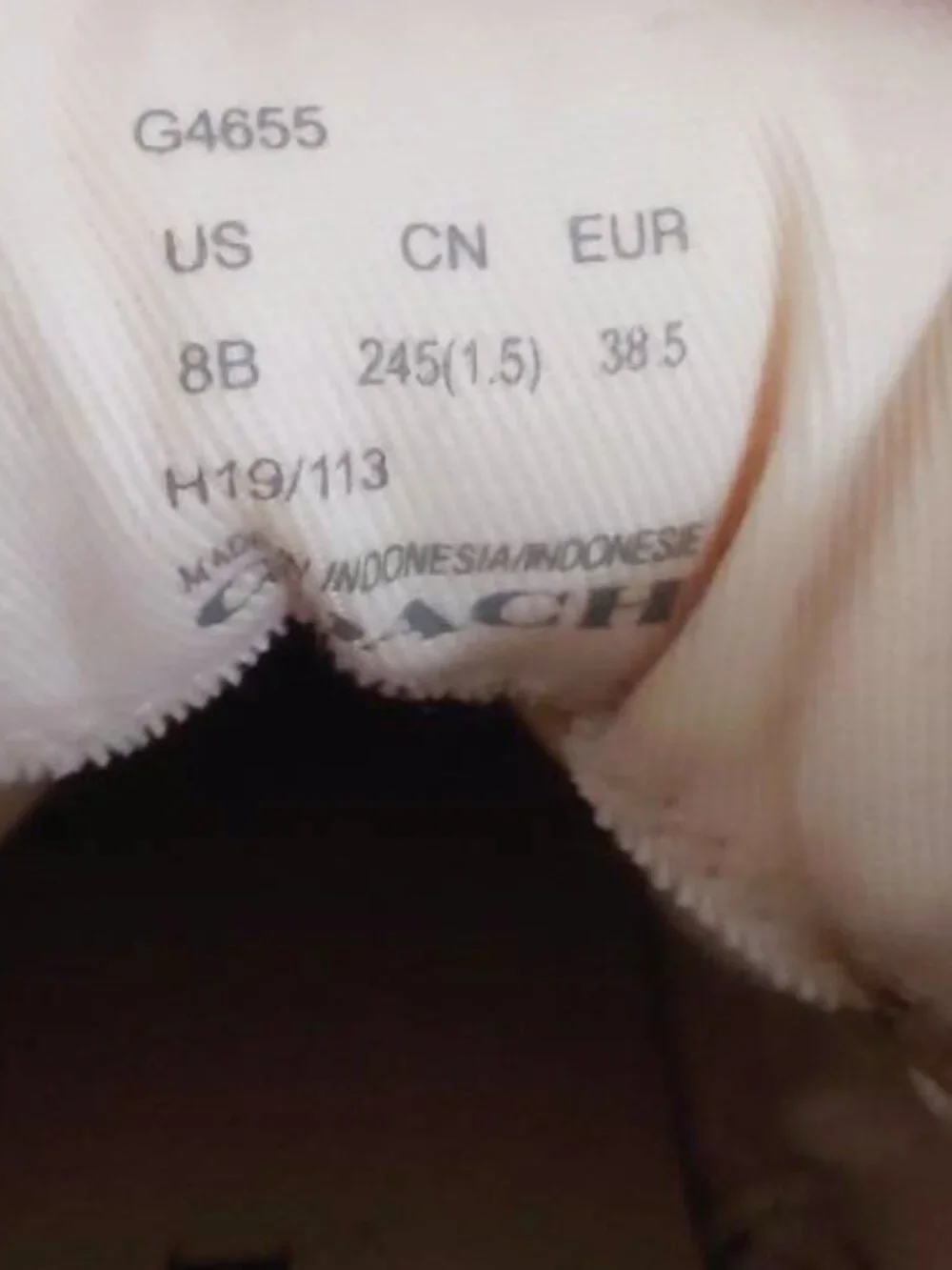 Coach C220 High Top Sneakers in Mushroom/Oat